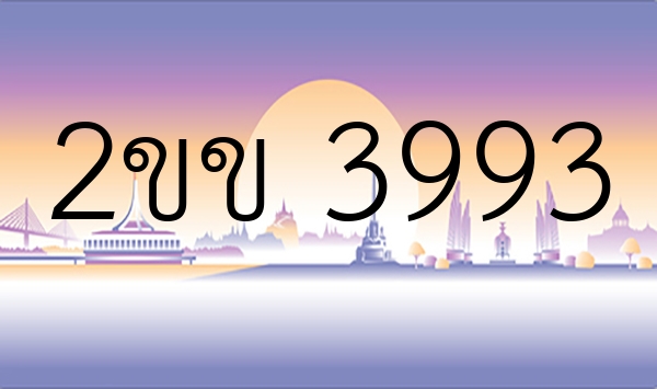 2ขข 3993